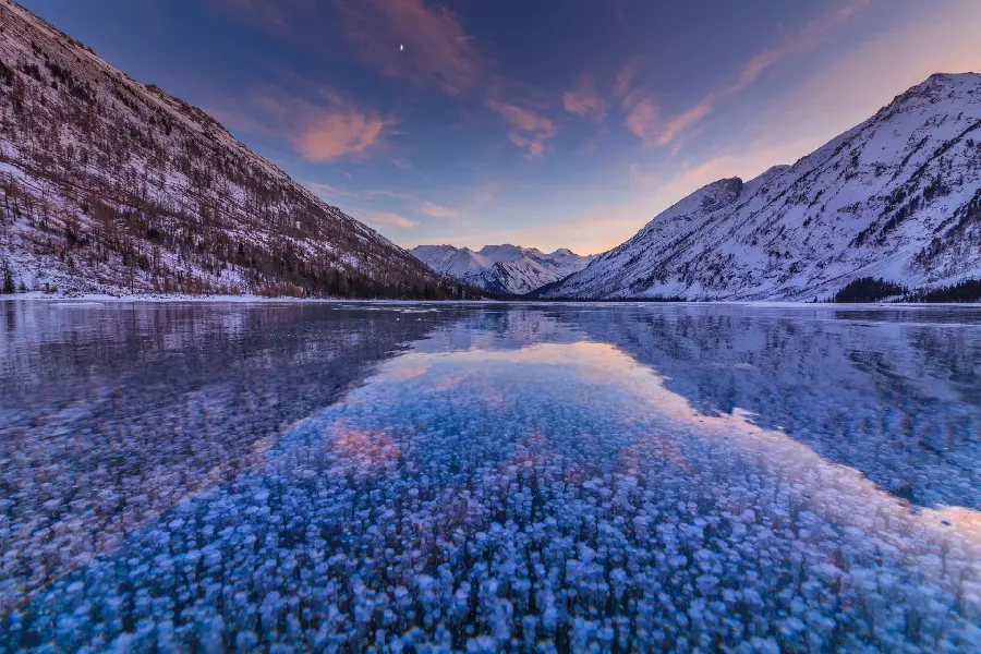 The most beautiful profile picture of Siberia with a stunning purple color theme