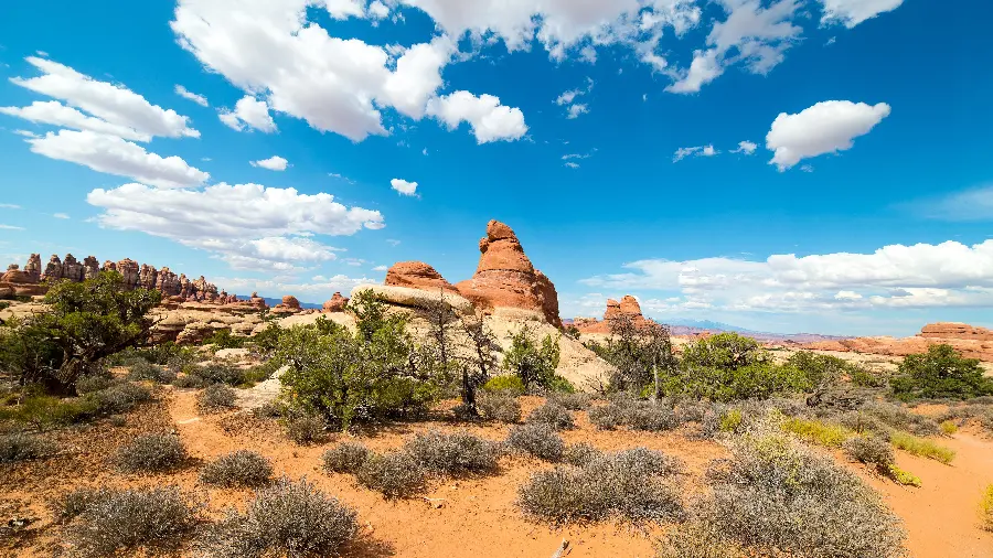 Download a unique and lovely stock photo of the desert under the blue sky 
