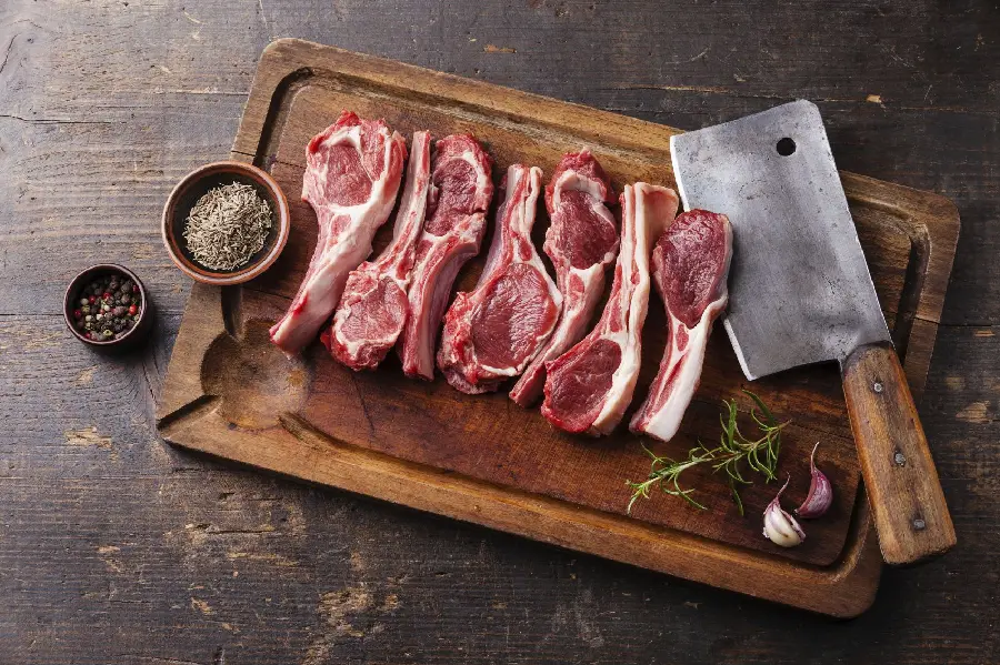 High quality lamb photo for banner printing