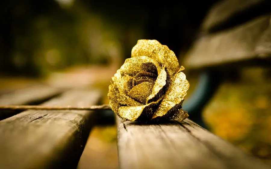 Gorgeous golden flower background photo on the bench
