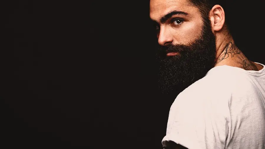New male beard model for young people with excellent quality 