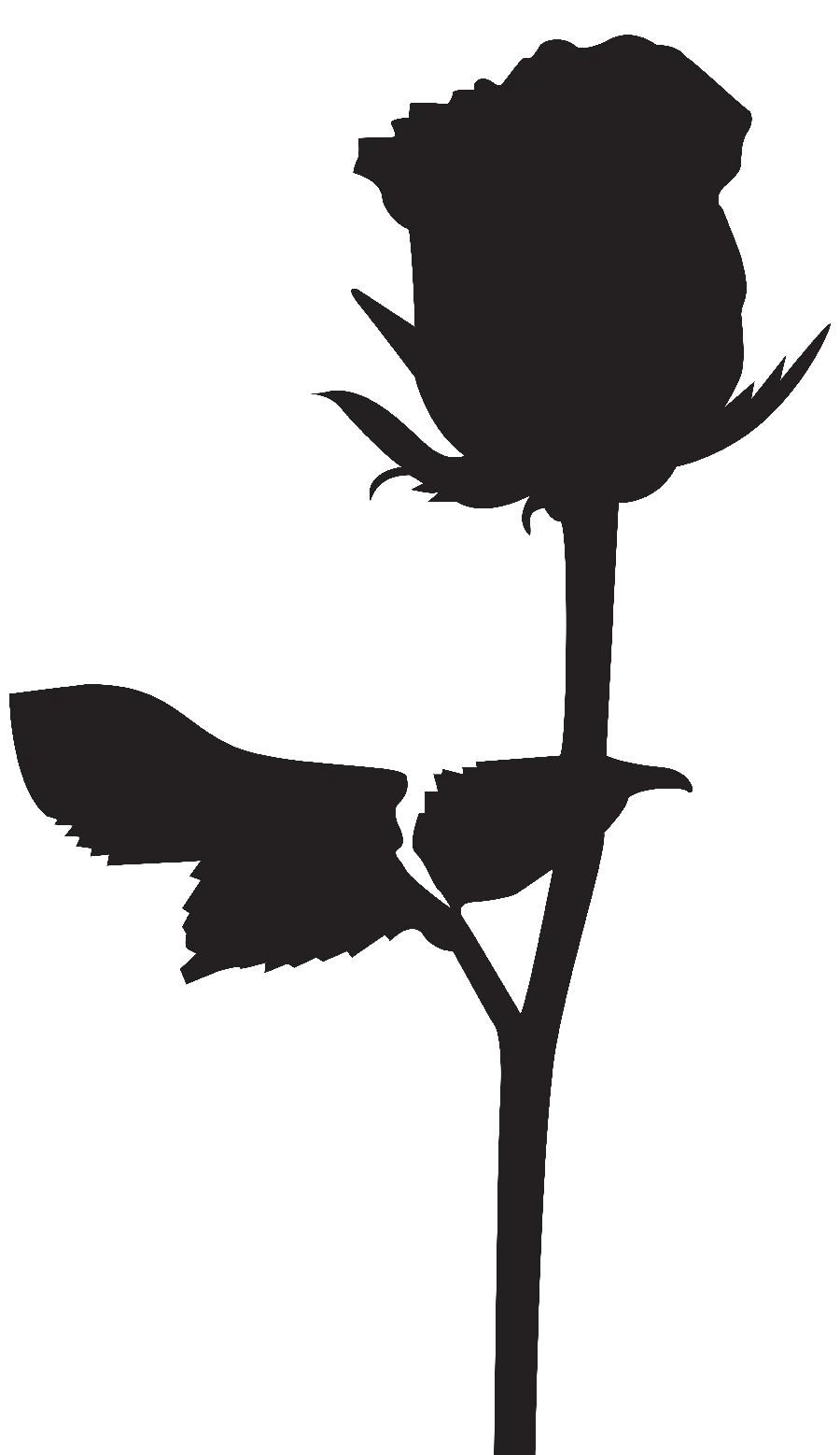 Black flower PNG image of condolence for editing a sad profile