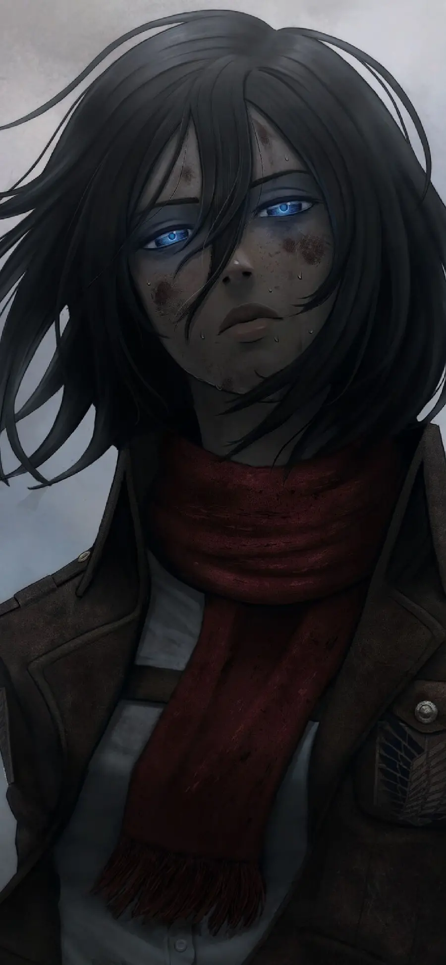 Download the most special sad wallpaper in the anime Attack On Titan 