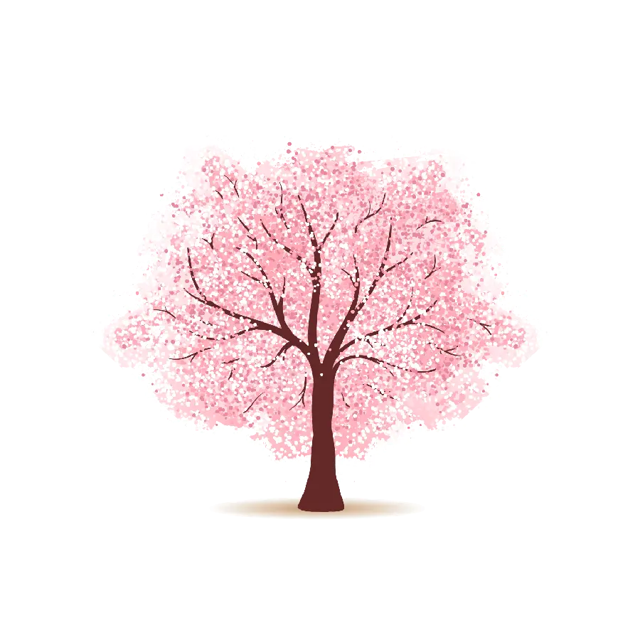Download image of a blooming pink tree with a green screen background