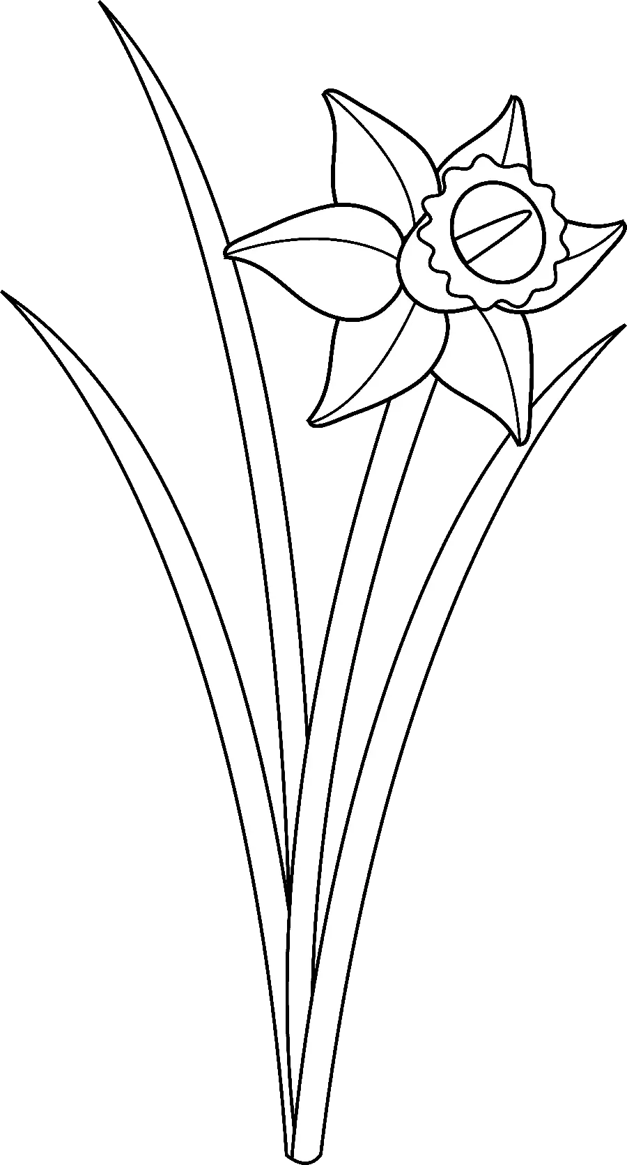 Simple, colorless, high-quality, painted anime image of daffodils