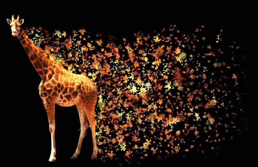 Masterpiece wallpaper of leaf and music emojis along a beautiful giraffe with a black background for Windows 11