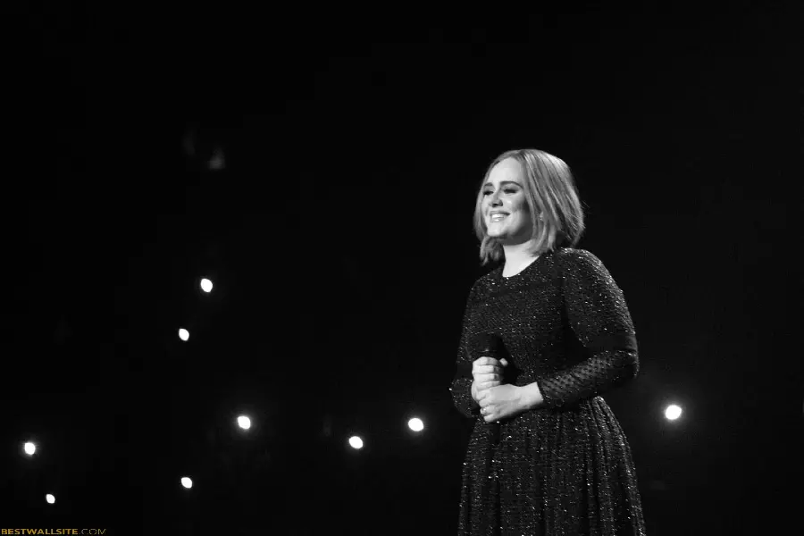 Silent background image of the live performance of the famous British singer Adele in a black guipure dress
