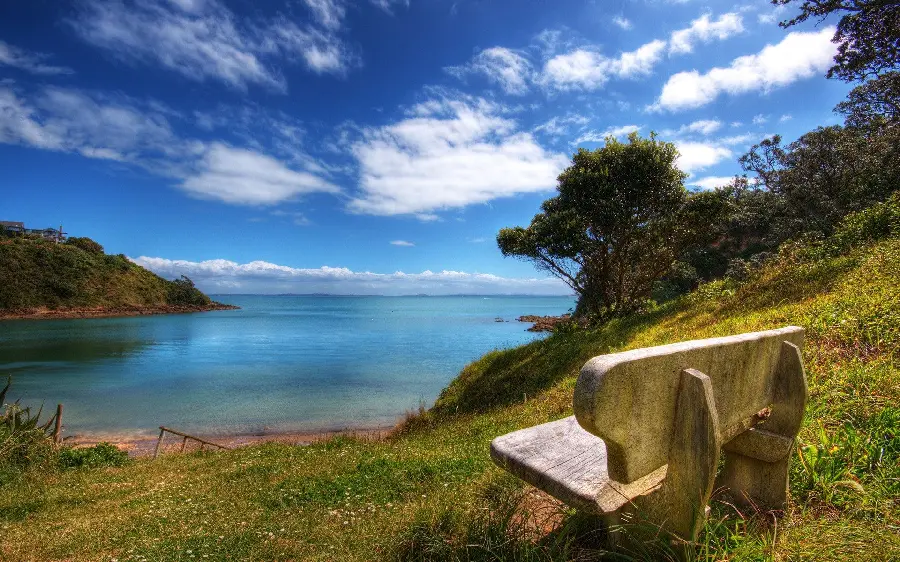 Beautiful 8K landscape of a wooden bench by the sea in New Zealand