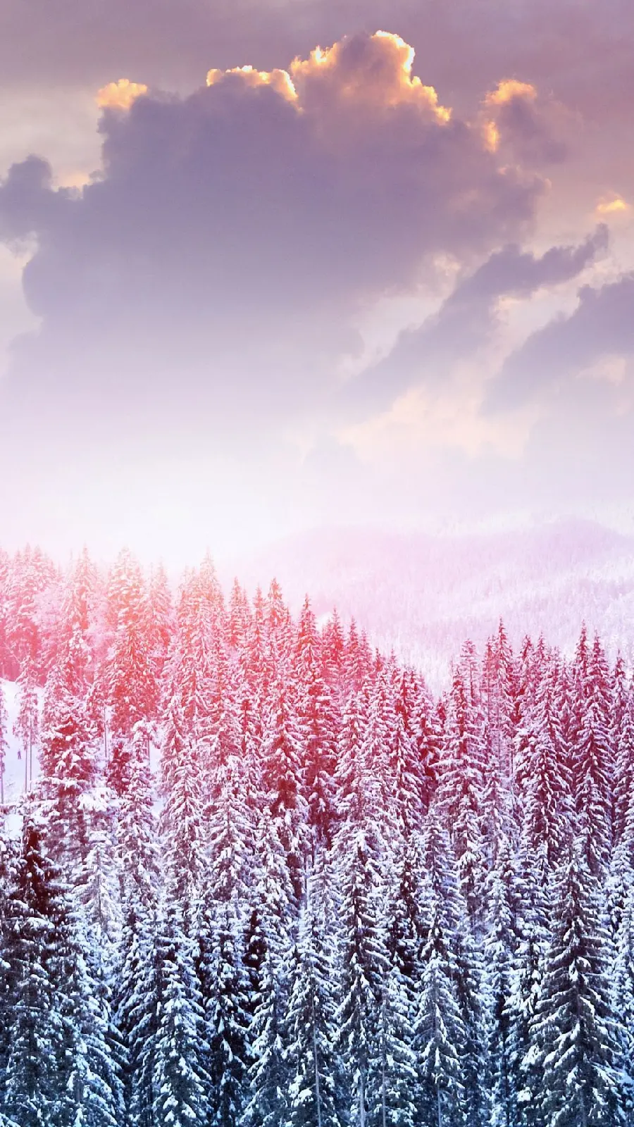 Ideal and impressive background of pink winter nature with special quality