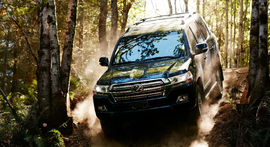 Photo of the Toyota Land Cruiser in the forest in high quality