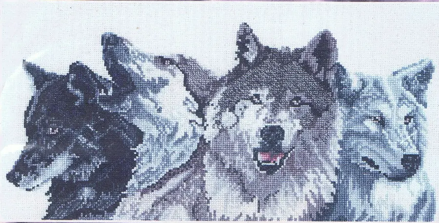 Download a terrifying profile picture of a pack of wolves for Instagram 
