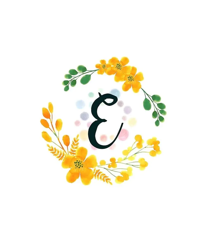 High quality highlight cover of the letter E for Instagram 