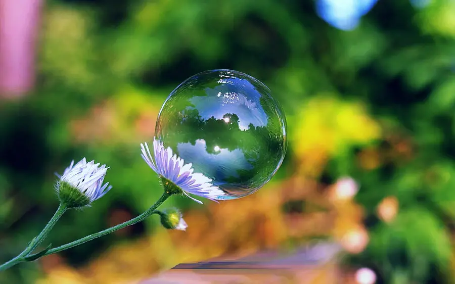 The most beautiful bubble profile photo in the heart of eye-catching nature 