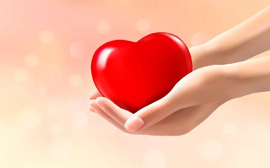 Beautiful Digital Photo of Round and Red Heart in Hand for Windows 11 Wallpaper