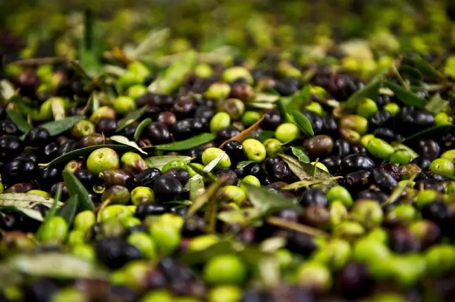 Download a diverse background image of olives mixed together