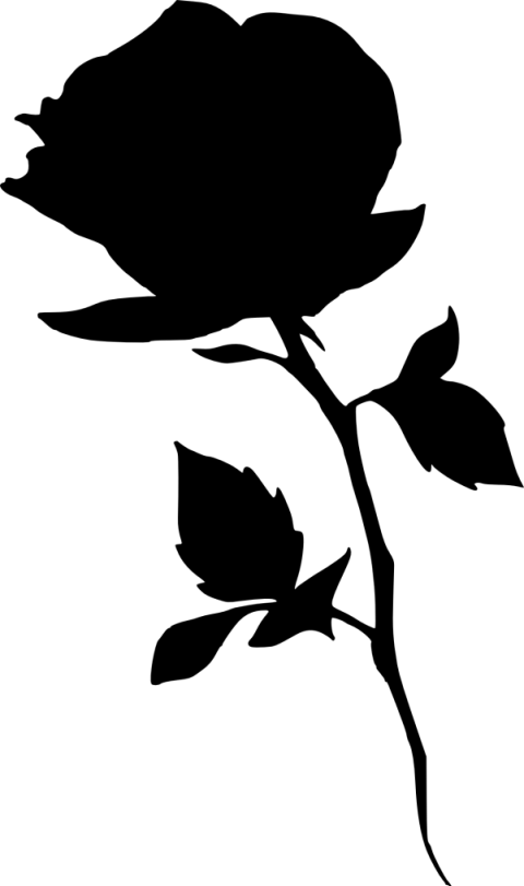 Download black flower photo of condolences in a very high quality frame