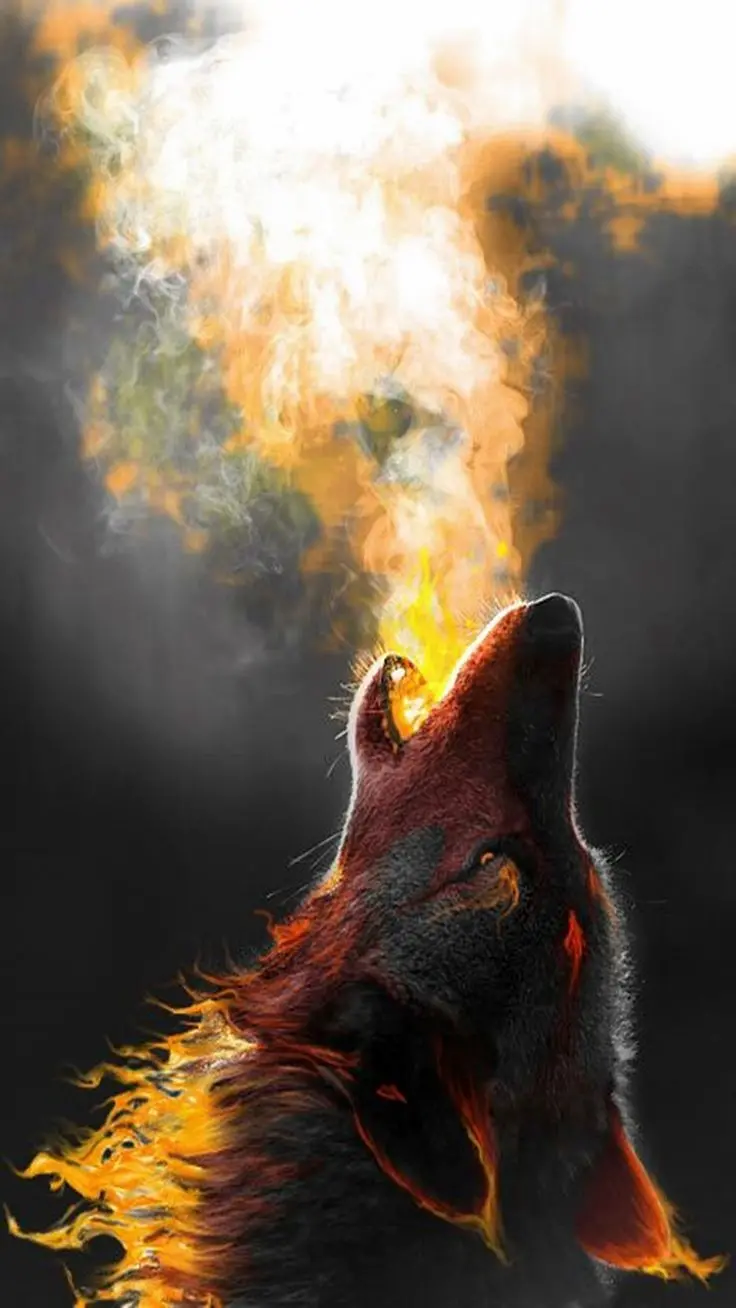 Awesome image of a wolf with a fiery howl in Full HD quality 