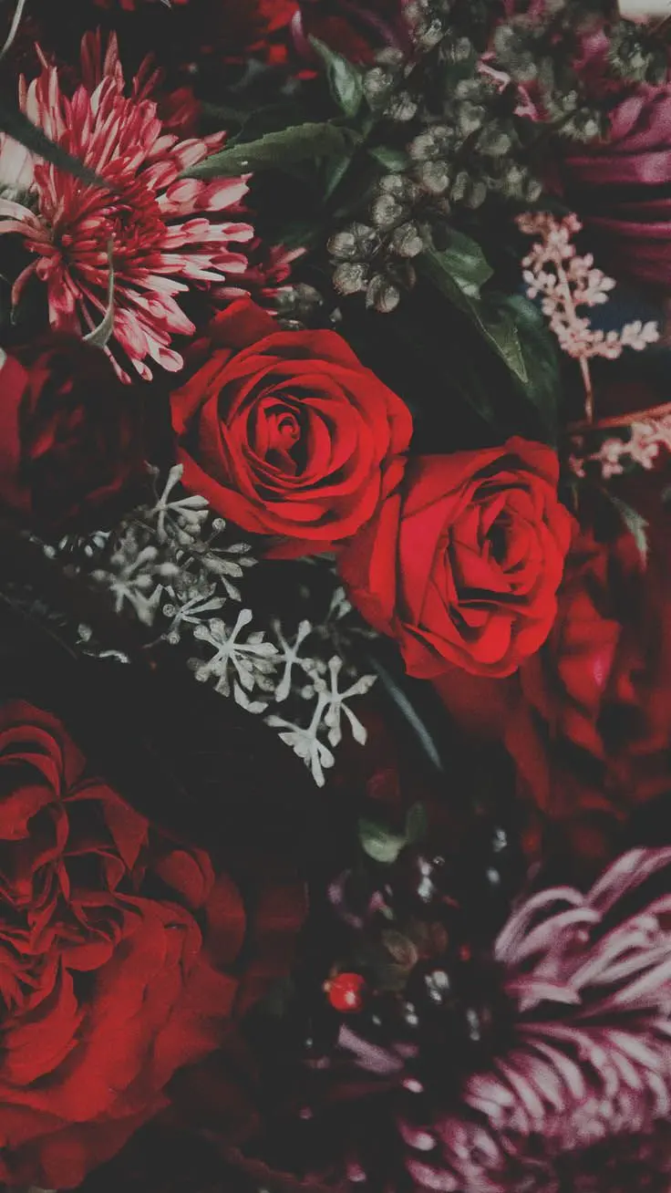 Amazing red rose in a special profile view