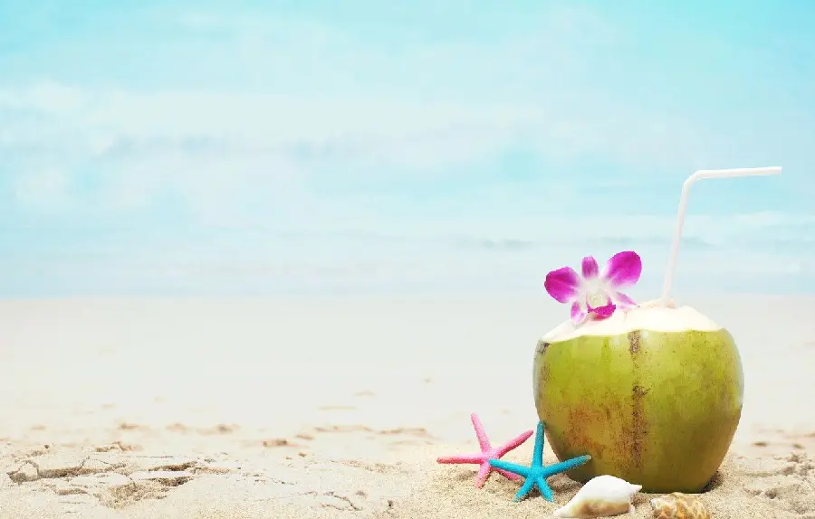The most special shot of a coconut drink with a bright color theme for your profile