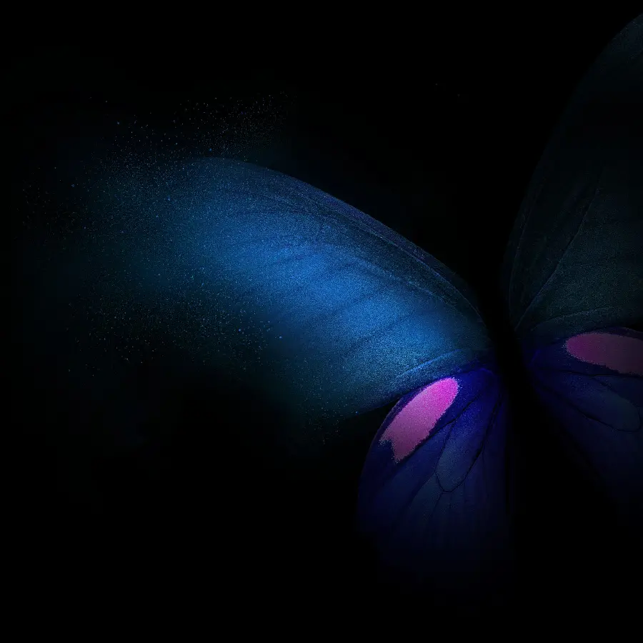 Popular background Galaxy Z Fold Blue Butterfly Design 2022