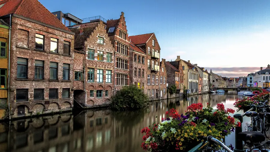 Download the most viewed profile picture of beautiful and new buildings and monuments of a city on the water next to colorful flowers