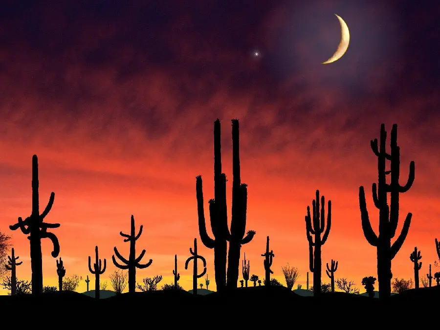 Orange Fantasy PictureFrom the Arizona desert with black cacti in a sky with a crescent moon