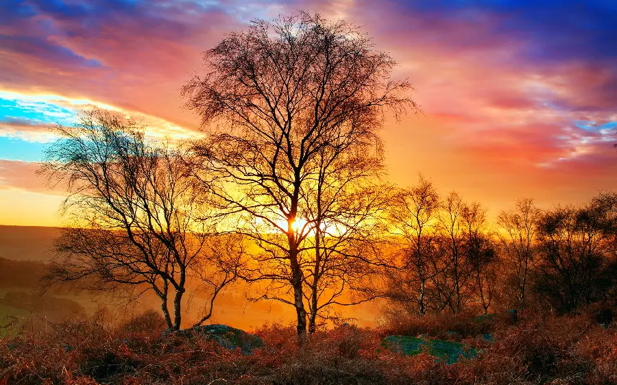 Most Viewed Sunset Sky Background in 8K Quality