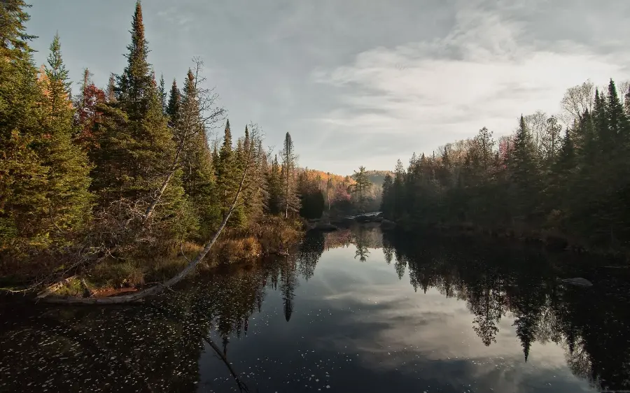 Download the most popular lake nature background for widescreen 