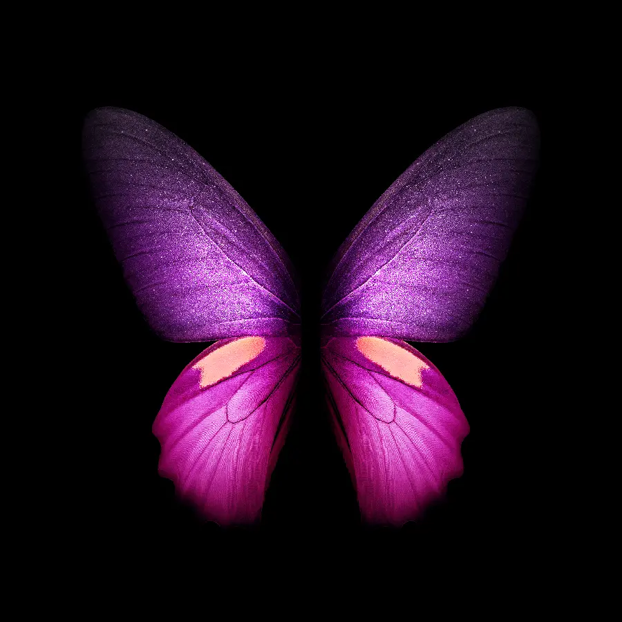 Samsung GALAXY Z FOLD wallpaper with the famous butterfly design