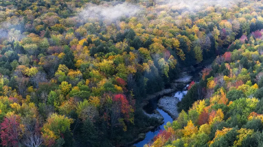The most beautiful aerial photo of colorful autumn nature in cool weather