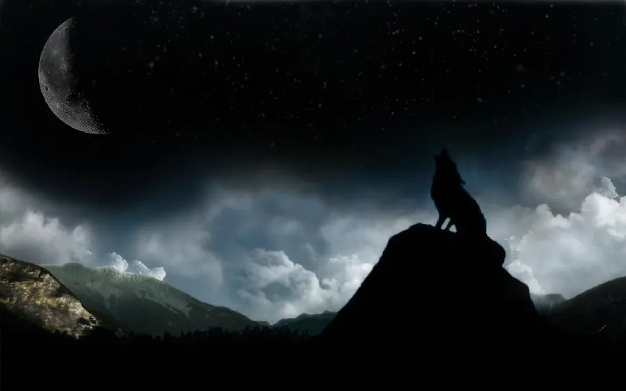 Exceptional digital photo of a wolf and the moon with a dark and sinister theme