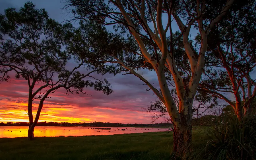 Lovely sunset nature in an artistic frame for an Instagram post 
