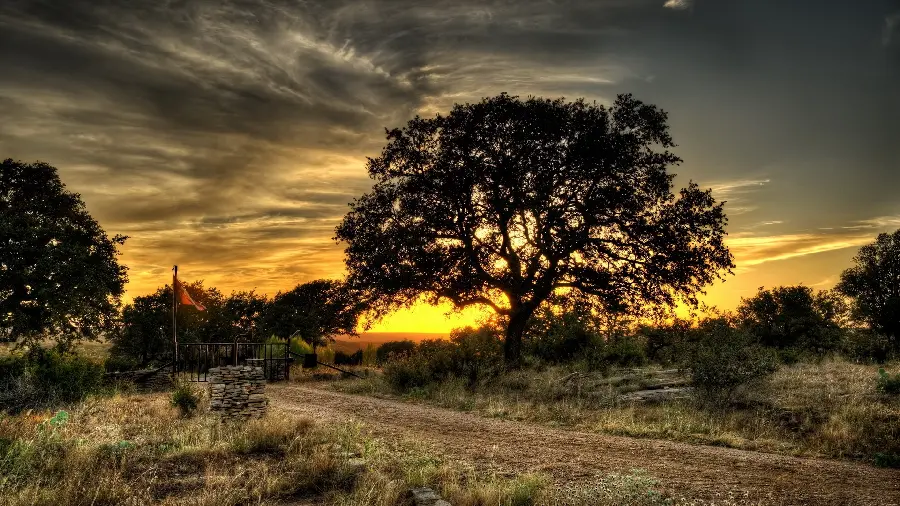 Popular Background for Tablets of Exceptional Nature 1401