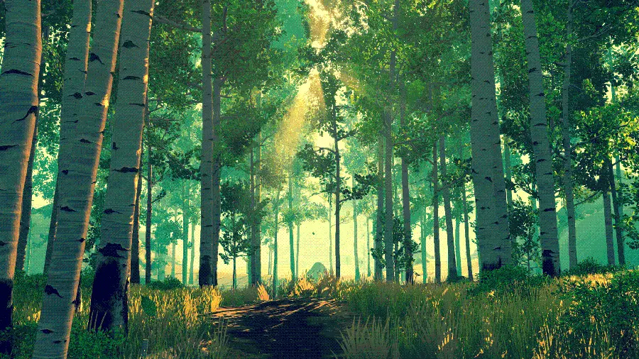 Beautiful and spectacular photo of forest trees in the game