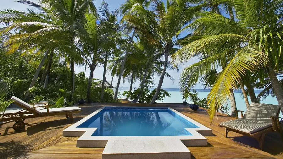 Modern profile photo of a sunny villa and a beach house with a beautifully designed pool and trees