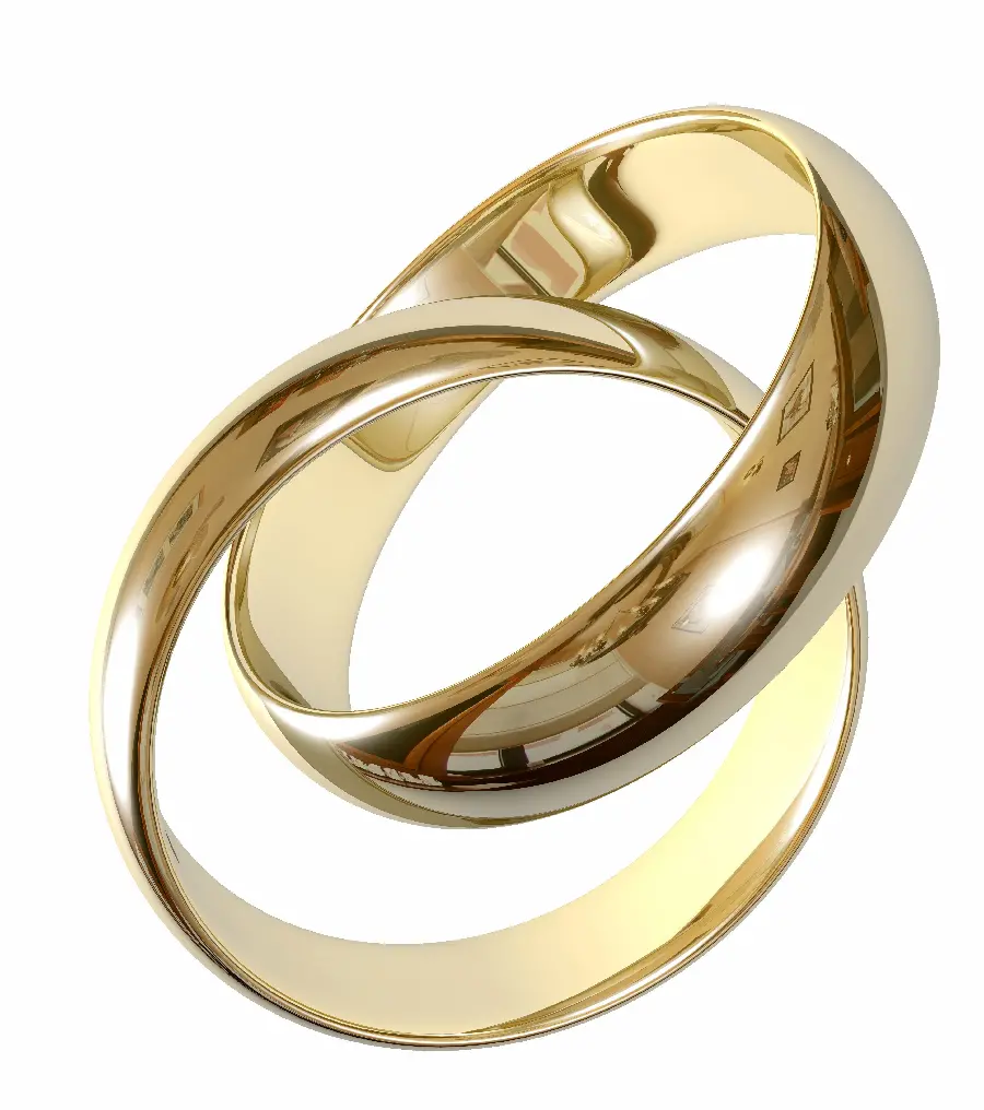 A large and prominent poster of two simple and intricate rings of the bride and groom