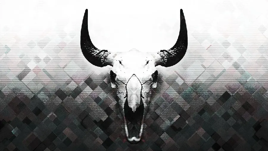 Horned buffalo wallpaper for desktop