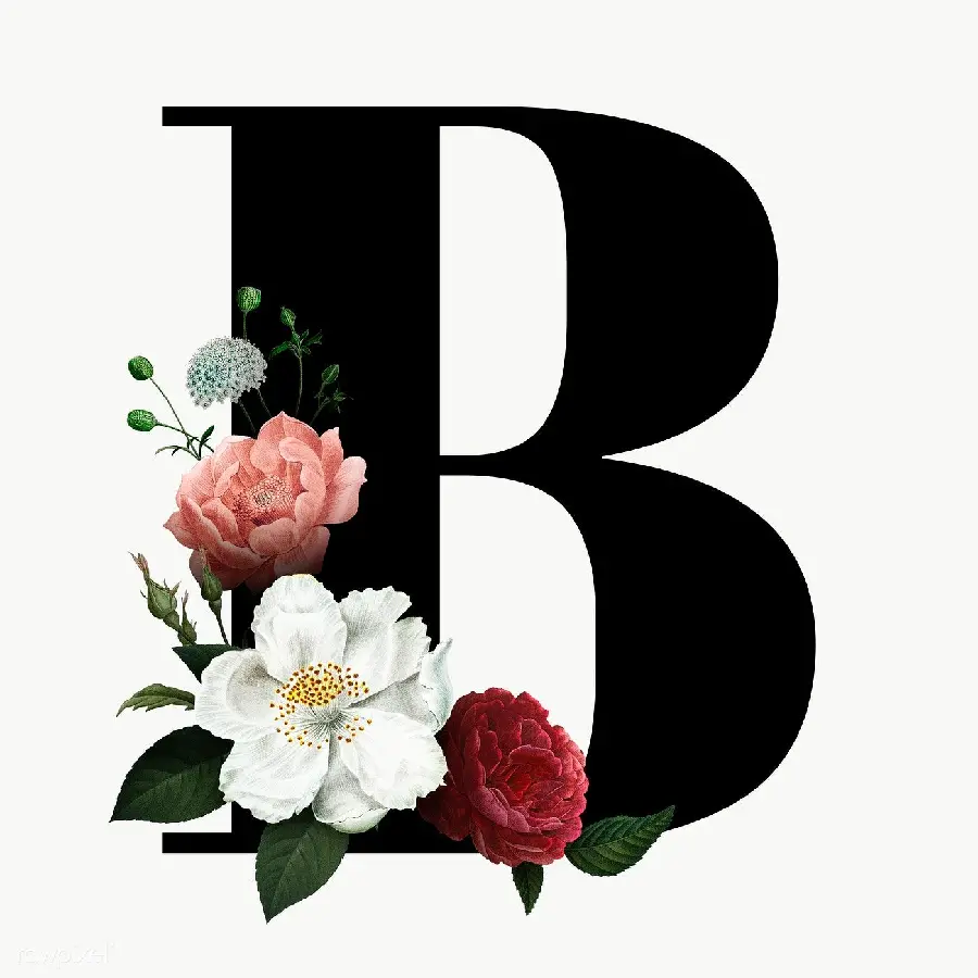 The most downloaded graphic profile picture of the English B with small and beautiful flowers in 4k quality
