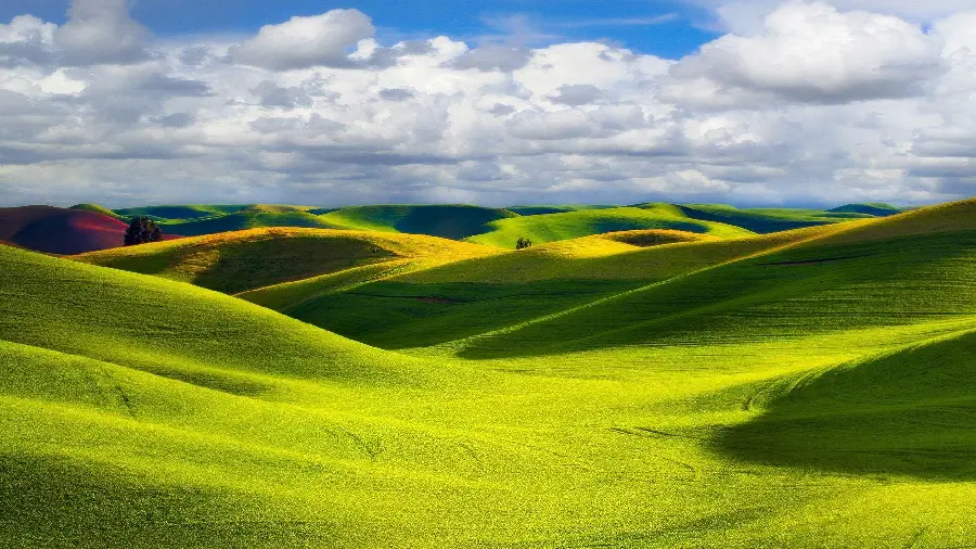 The most downloaded nature background with incredibly beautiful colors for laptops 