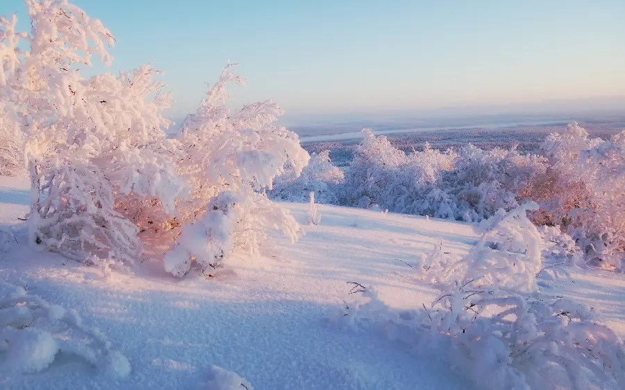 A trendy fantasy photo of winter nature and a landscape photo of snow-covered vegetation