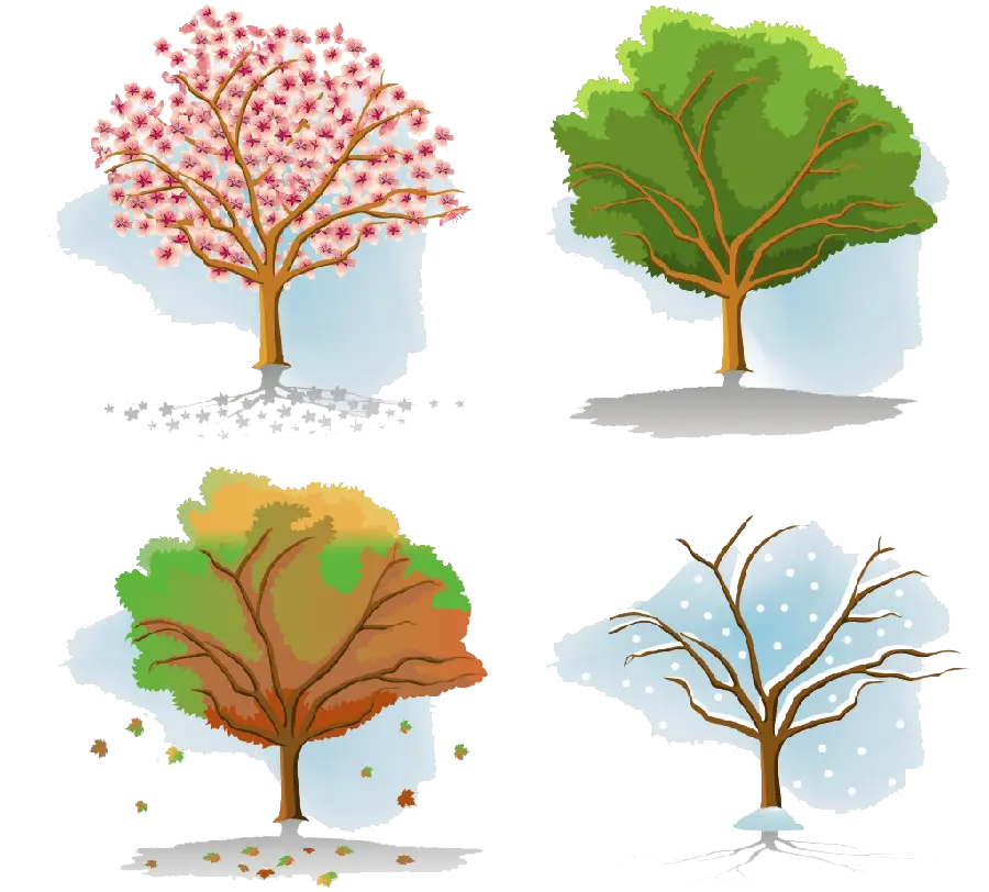 Photo Dreamy Cartoon Tree Design in Four Seasons 2022