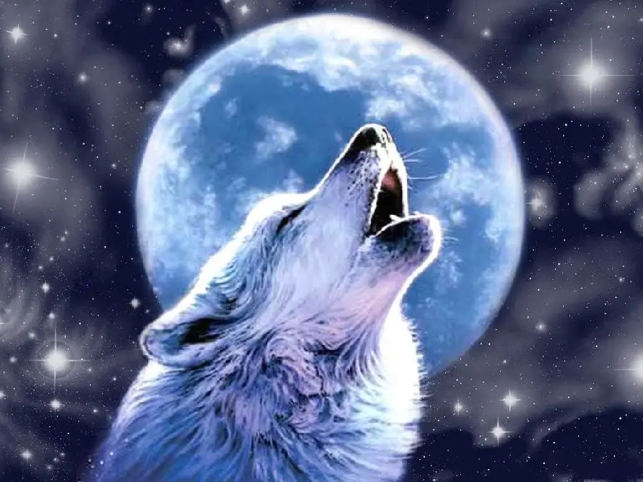 A fantastic image of a wolf and the moon with dreamy and amazing details 