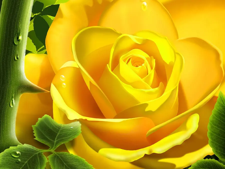 A Close and Magical View of a Blooming Yellow Rose in Excellent Quality