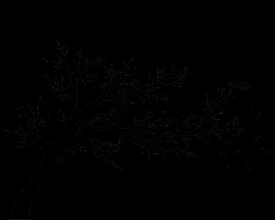 Digital Tree Photo For Design Template In Free PNG Format