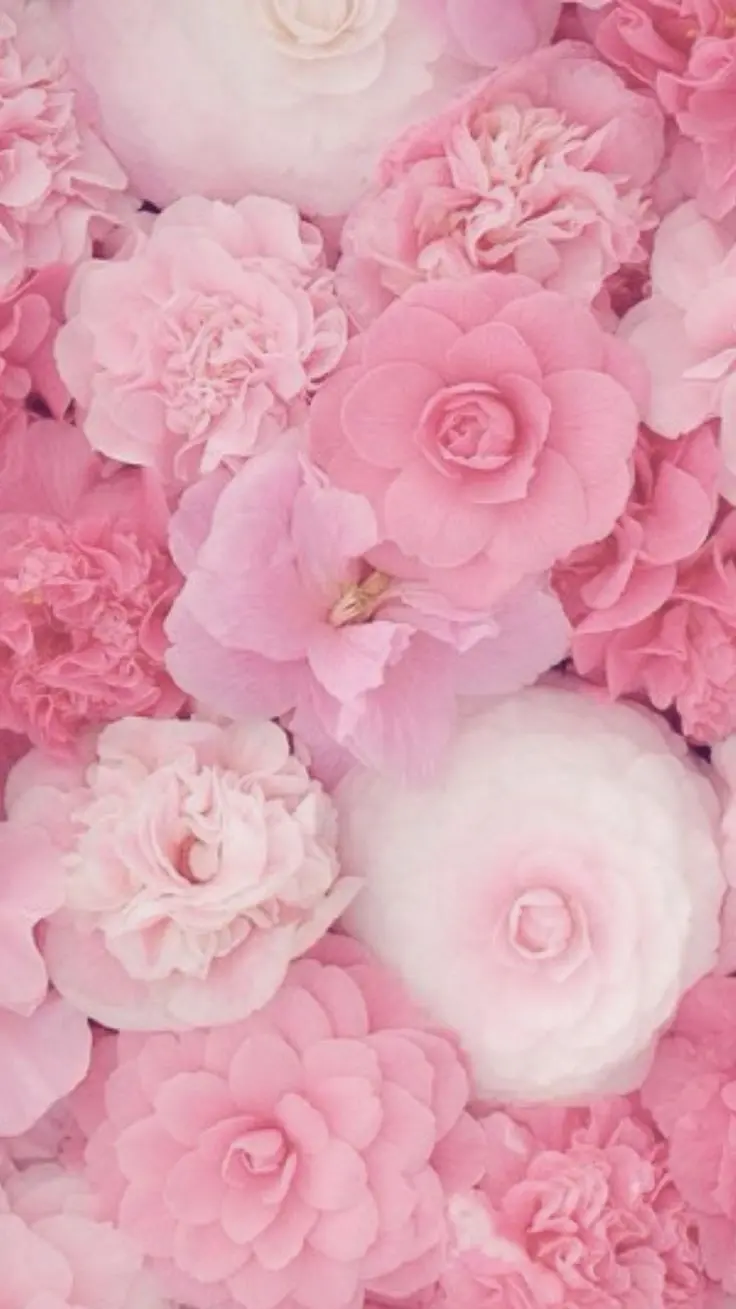 Beautiful pink girly wallpaper with special quality