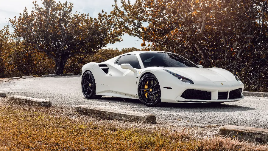 FUII HD Quality Background of Popular White Ferrari Among Autumn Trees