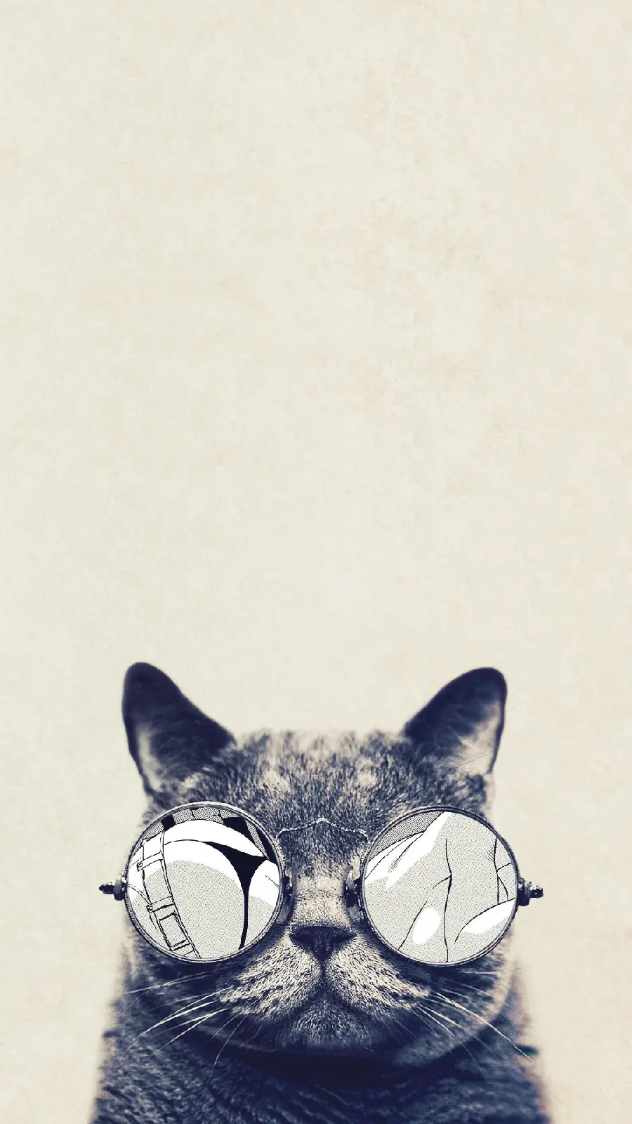 The most special high-quality poster of a gray cat with mirrored glasses