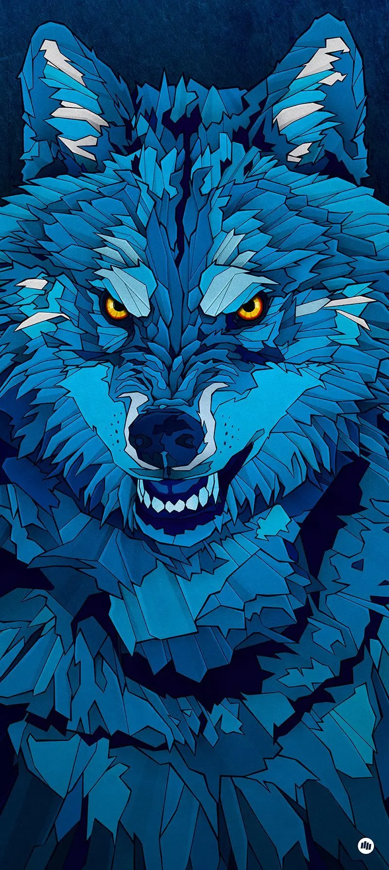 Wolf photo for background and story with blue theme