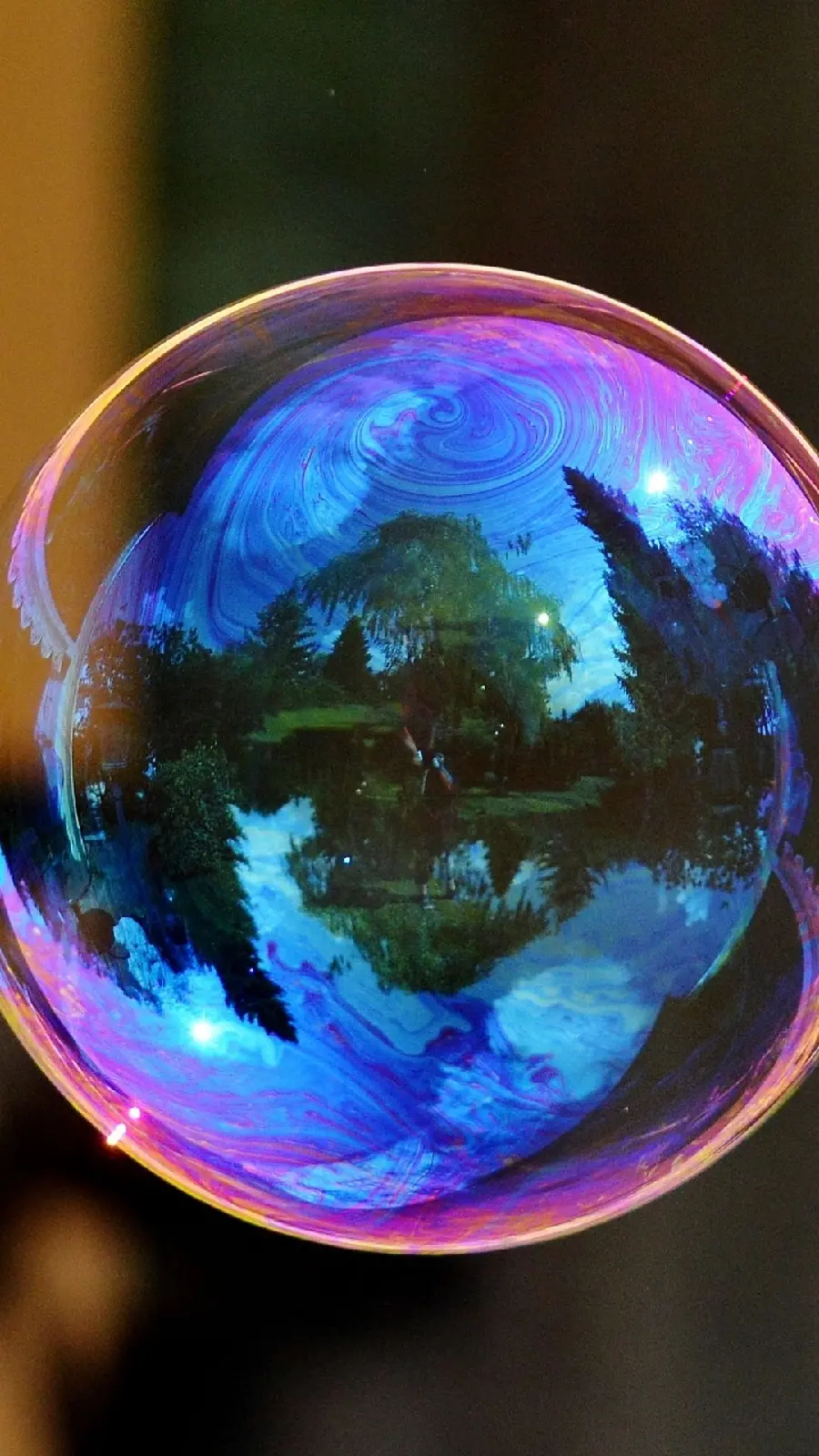 New and stylish profile picture of beautiful blue and purple bubbles 