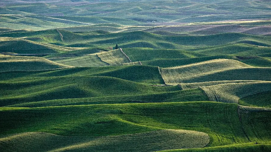 Beautiful green plains in a spectacular frame for your desktop screen 
